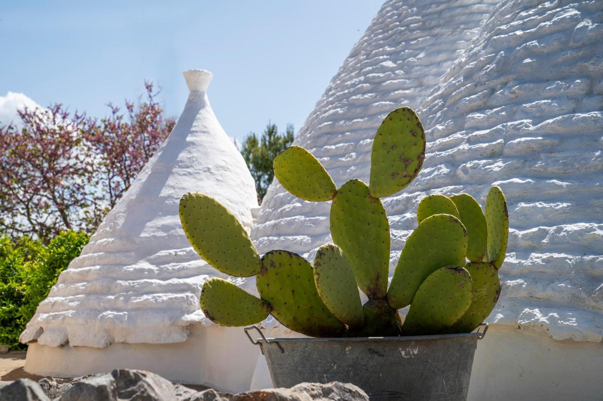 Villa De Luxe Avec Piscine - Trullo Ulivi Al Sole ฟรานกาวิลลา ฟอนตานา ภายนอก รูปภาพ