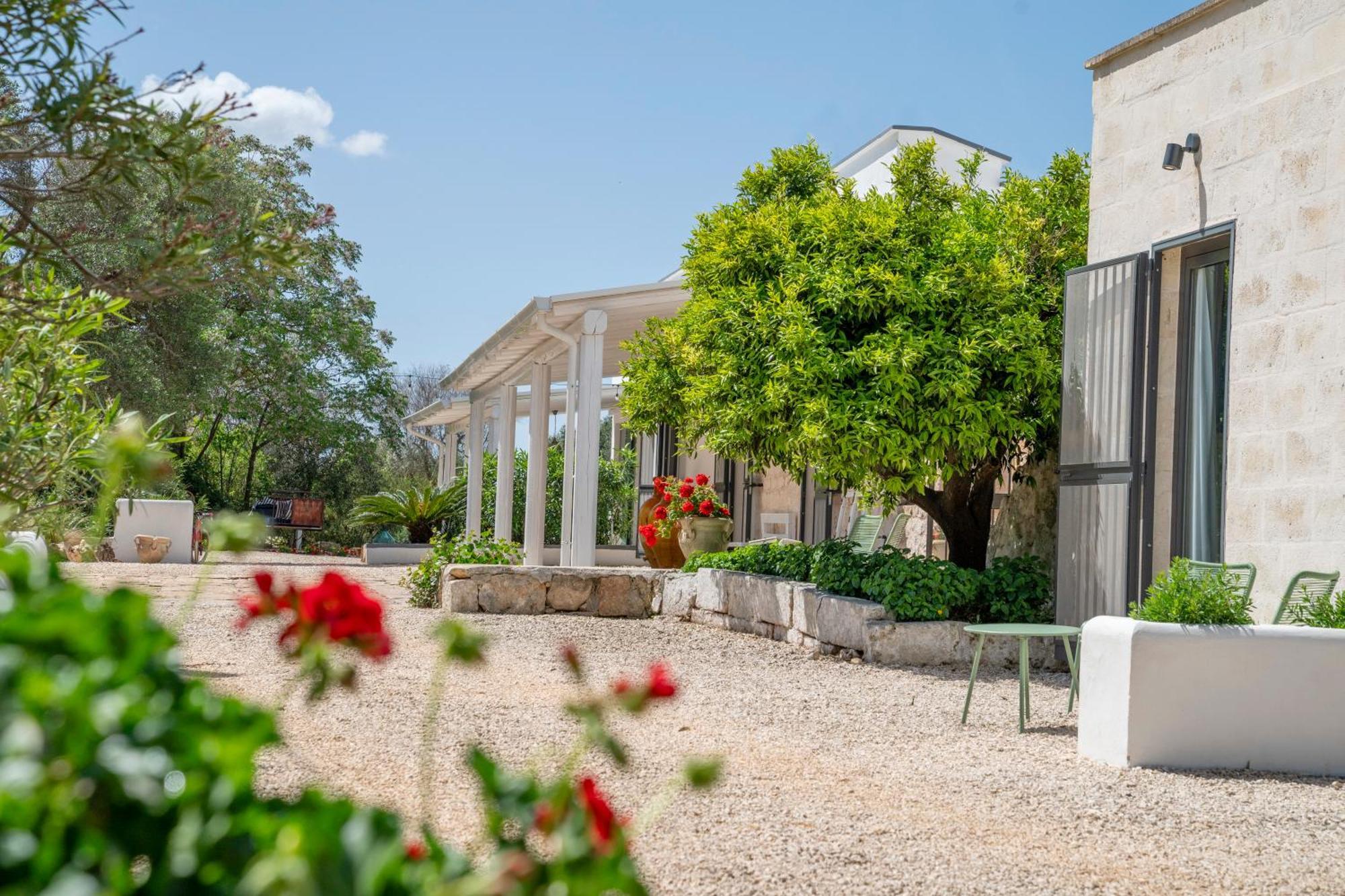 Villa De Luxe Avec Piscine - Trullo Ulivi Al Sole ฟรานกาวิลลา ฟอนตานา ภายนอก รูปภาพ